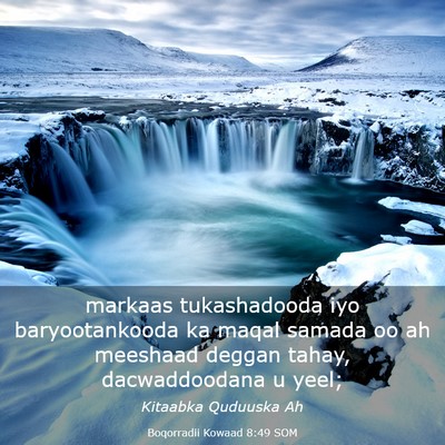Picture 03 - Boqorradii Kowaad 8:49 SOM - markaas tukashadooda iyo baryootankooda ka maqal - Bible Verse Picture