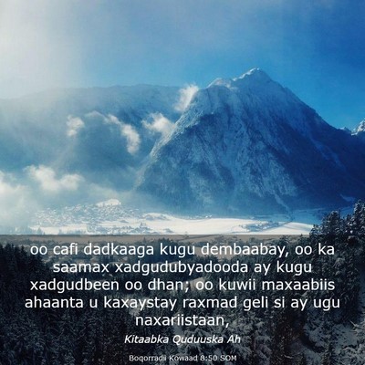 Picture 03 - Boqorradii Kowaad 8:50 SOM - oo cafi dadkaaga kugu dembaabay, oo ka saamax - Bible Verse Picture