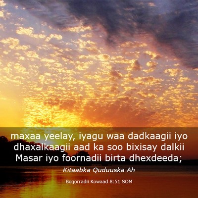 Picture 03 - Boqorradii Kowaad 8:51 SOM - maxaa yeelay, iyagu waa dadkaagii iyo - Bible Verse Picture