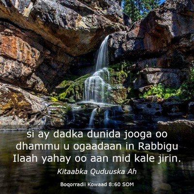Picture 03 - Boqorradii Kowaad 8:60 SOM - si ay dadka dunida jooga oo dhammu u ogaadaan in - Bible Verse Picture