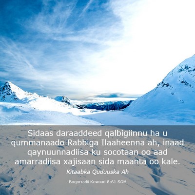 Picture 03 - Boqorradii Kowaad 8:61 SOM - Sidaas daraaddeed qalbigiinnu ha u qummanaado - Bible Verse Picture
