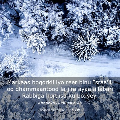 Picture 03 - Boqorradii Kowaad 8:62 SOM - Markaas boqorkii iyo reer binu Israa'iil oo - Bible Verse Picture