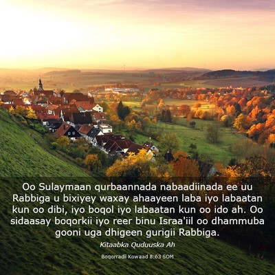 Picture 03 - Boqorradii Kowaad 8:63 SOM - Oo Sulaymaan qurbaannada nabaadiinada ee uu - Bible Verse Picture