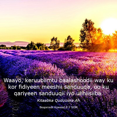 Picture 03 - Boqorradii Kowaad 8:7 SOM - Waayo, keruubiimtu baalashoodii way ku kor - Bible Verse Picture