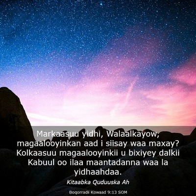 Picture 03 - Boqorradii Kowaad 9:13 SOM - Markaasuu yidhi, Walaalkayow, magaalooyinkan aad - Bible Verse Picture