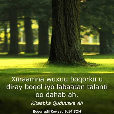 Picture 03 - Boqorradii Kowaad 9:14 SOM - Xiiraamna wuxuu boqorkii u diray boqol iyo - Bible Verse Picture