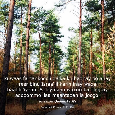 Picture 03 - Boqorradii Kowaad 9:21 SOM - kuwaas farcankoodii dalka ku hadhay oo anay reer - Bible Verse Picture