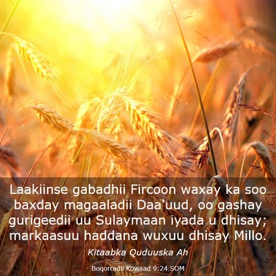 Picture 03 - Boqorradii Kowaad 9:24 SOM - Laakiinse gabadhii Fircoon waxay ka soo baxday - Bible Verse Picture