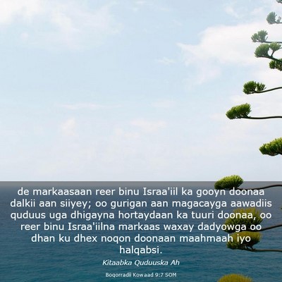 Picture 03 - Boqorradii Kowaad 9:7 SOM - de markaasaan reer binu Israa'iil ka gooyn doonaa - Bible Verse Picture