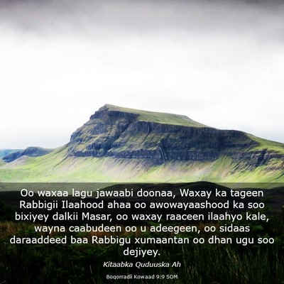 Picture 03 - Boqorradii Kowaad 9:9 SOM - Oo waxaa lagu jawaabi doonaa, Waxay ka tageen - Bible Verse Picture