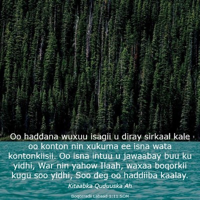 Picture 03 - Boqorradii Labaad 1:11 SOM - Oo haddana wuxuu isagii u diray sirkaal kale oo - Bible Verse Picture