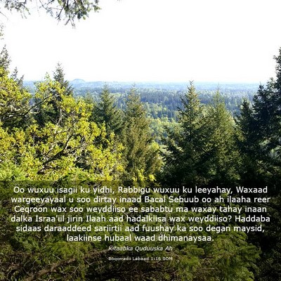 Picture 03 - Boqorradii Labaad 1:16 SOM - Oo wuxuu isagii ku yidhi, Rabbigu wuxuu ku - Bible Verse Picture