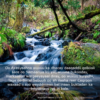 Picture 03 - Boqorradii Labaad 1:2 SOM - Oo Axasyaahna wuxuu ka dhacay daaqaddii qolkiisii - Bible Verse Picture