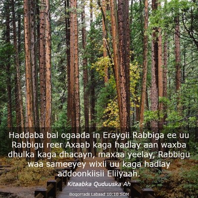 Picture 03 - Boqorradii Labaad 10:10 SOM - Haddaba bal ogaada in Eraygii Rabbiga ee uu - Bible Verse Picture