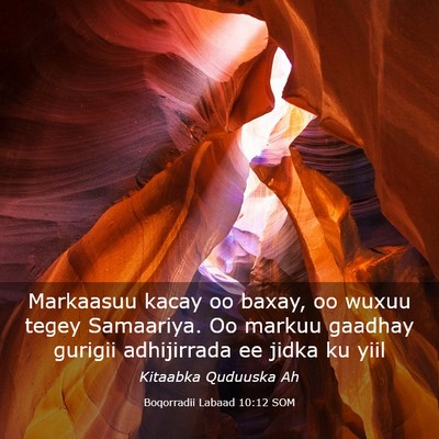 Picture 03 - Boqorradii Labaad 10:12 SOM - Markaasuu kacay oo baxay, oo wuxuu tegey - Bible Verse Picture