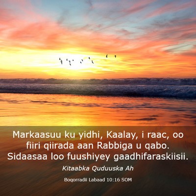 Picture 03 - Boqorradii Labaad 10:16 SOM - Markaasuu ku yidhi, Kaalay, i raac, oo fiiri - Bible Verse Picture