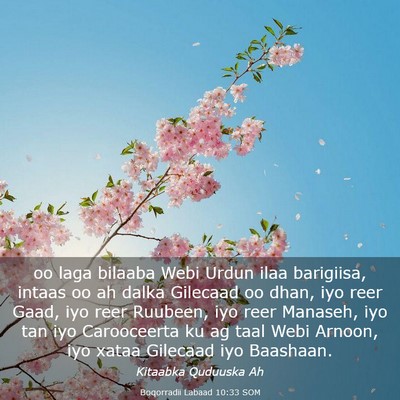 Picture 03 - Boqorradii Labaad 10:33 SOM - oo laga bilaaba Webi Urdun ilaa barigiisa, intaas - Bible Verse Picture