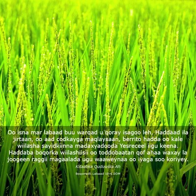 Picture 03 - Boqorradii Labaad 10:6 SOM - Oo isna mar labaad buu warqad u qoray isagoo leh, - Bible Verse Picture