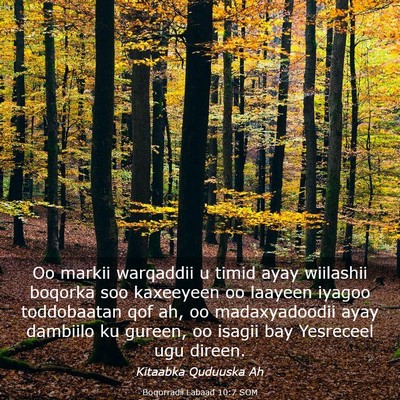 Picture 03 - Boqorradii Labaad 10:7 SOM - Oo markii warqaddii u timid ayay wiilashii - Bible Verse Picture