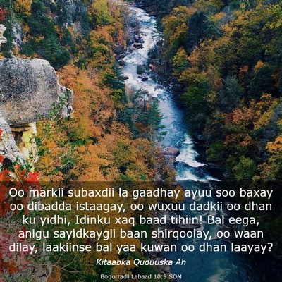 Picture 03 - Boqorradii Labaad 10:9 SOM - Oo markii subaxdii la gaadhay ayuu soo baxay oo - Bible Verse Picture