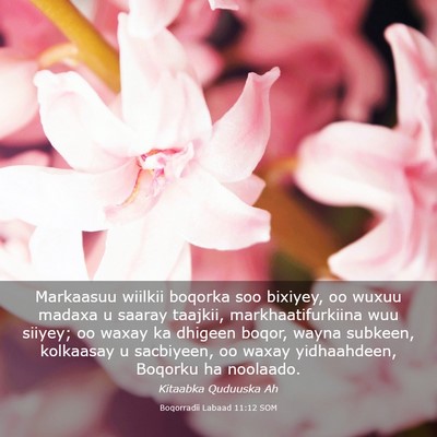 Picture 03 - Boqorradii Labaad 11:12 SOM - Markaasuu wiilkii boqorka soo bixiyey, oo wuxuu - Bible Verse Picture