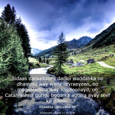 Picture 03 - Boqorradii Labaad 11:20 SOM - Sidaas daraaddeed dadkii waddanka oo dhammu way - Bible Verse Picture