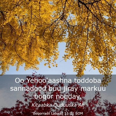 Picture 03 - Boqorradii Labaad 11:21 SOM - Oo Yehoo'aashna toddoba sannadood buu jiray - Bible Verse Picture