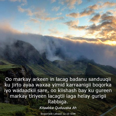 Picture 03 - Boqorradii Labaad 12:10 SOM - Oo markay arkeen in lacag badanu sanduuqii ku - Bible Verse Picture