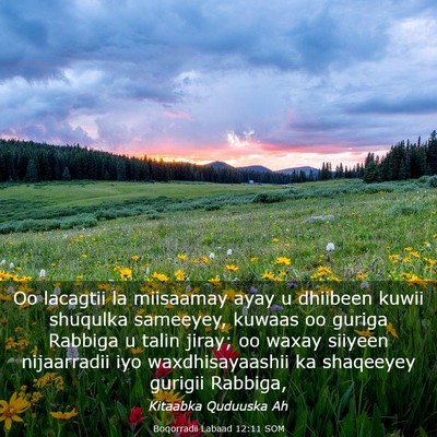 Picture 03 - Boqorradii Labaad 12:11 SOM - Oo lacagtii la miisaamay ayay u dhiibeen kuwii - Bible Verse Picture