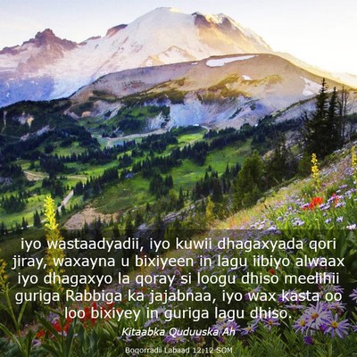 Picture 03 - Boqorradii Labaad 12:12 SOM - iyo wastaadyadii, iyo kuwii dhagaxyada qori - Bible Verse Picture