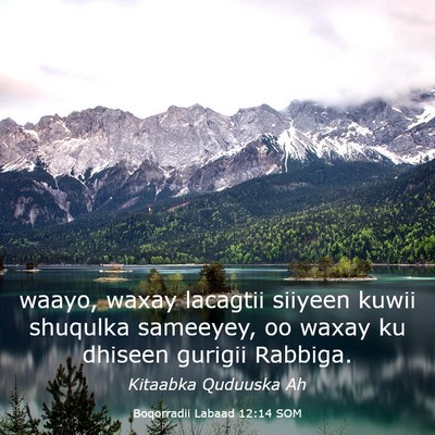 Picture 03 - Boqorradii Labaad 12:14 SOM - waayo, waxay lacagtii siiyeen kuwii shuqulka - Bible Verse Picture