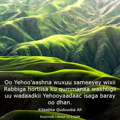 Picture 03 - Boqorradii Labaad 12:2 SOM - Oo Yehoo'aashna wuxuu sameeyey wixii Rabbiga - Bible Verse Picture