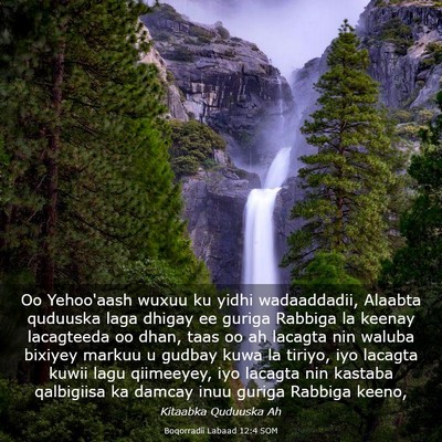 Picture 03 - Boqorradii Labaad 12:4 SOM - Oo Yehoo'aash wuxuu ku yidhi wadaaddadii, Alaabta - Bible Verse Picture