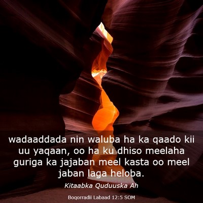 Picture 03 - Boqorradii Labaad 12:5 SOM - wadaaddada nin waluba ha ka qaado kii uu yaqaan, - Bible Verse Picture