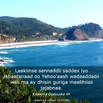 Picture 03 - Boqorradii Labaad 12:6 SOM - Laakiinse sannaddii saddex iyo labaatanaad oo - Bible Verse Picture