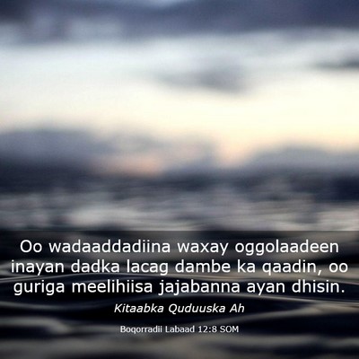 Picture 03 - Boqorradii Labaad 12:8 SOM - Oo wadaaddadiina waxay oggolaadeen inayan dadka - Bible Verse Picture