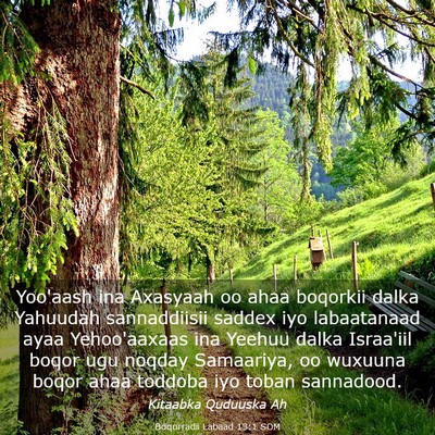 Picture 03 - Boqorradii Labaad 13:1 SOM - Yoo'aash ina Axasyaah oo ahaa boqorkii dalka - Bible Verse Picture