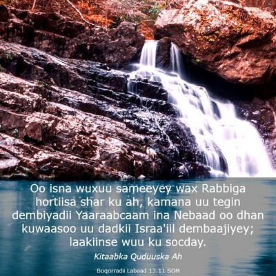 Picture 03 - Boqorradii Labaad 13:11 SOM - Oo isna wuxuu sameeyey wax Rabbiga hortiisa shar - Bible Verse Picture