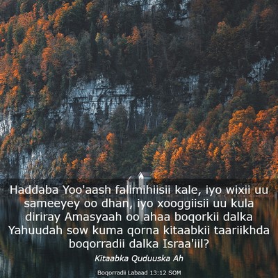 Picture 03 - Boqorradii Labaad 13:12 SOM - Haddaba Yoo'aash falimihiisii kale, iyo wixii uu - Bible Verse Picture