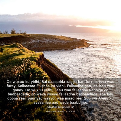 Picture 03 - Boqorradii Labaad 13:17 SOM - Oo wuxuu ku yidhi, Bal daaqadda xagga bari fur; - Bible Verse Picture
