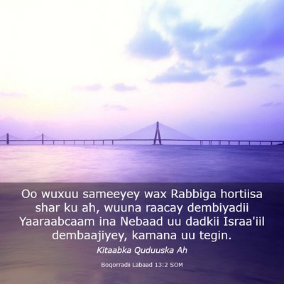 Picture 03 - Boqorradii Labaad 13:2 SOM - Oo wuxuu sameeyey wax Rabbiga hortiisa shar ku - Bible Verse Picture