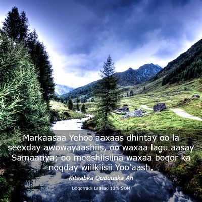 Picture 03 - Boqorradii Labaad 13:9 SOM - Markaasaa Yehoo'aaxaas dhintay oo la seexday - Bible Verse Picture