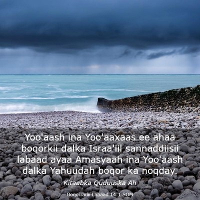 Picture 03 - Boqorradii Labaad 14:1 SOM - Yoo'aash ina Yoo'aaxaas ee ahaa boqorkii dalka - Bible Verse Picture