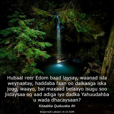Picture 03 - Boqorradii Labaad 14:10 SOM - Hubaal reer Edom baad laysay, waanad isla - Bible Verse Picture