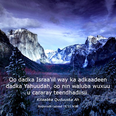 Picture 03 - Boqorradii Labaad 14:12 SOM - Oo dadka Israa'iil way ka adkaadeen dadka - Bible Verse Picture