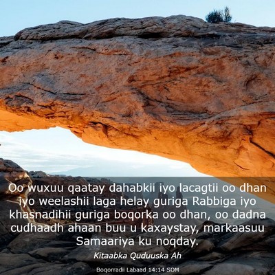 Picture 03 - Boqorradii Labaad 14:14 SOM - Oo wuxuu qaatay dahabkii iyo lacagtii oo dhan iyo - Bible Verse Picture