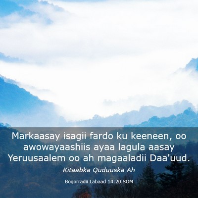 Picture 03 - Boqorradii Labaad 14:20 SOM - Markaasay isagii fardo ku keeneen, oo - Bible Verse Picture