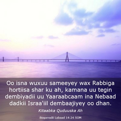 Picture 03 - Boqorradii Labaad 14:24 SOM - Oo isna wuxuu sameeyey wax Rabbiga hortiisa shar - Bible Verse Picture
