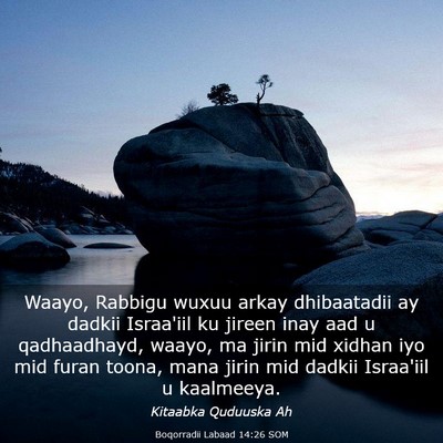 Picture 03 - Boqorradii Labaad 14:26 SOM - Waayo, Rabbigu wuxuu arkay dhibaatadii ay dadkii - Bible Verse Picture