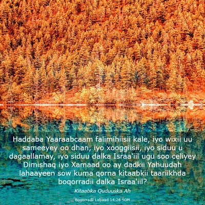 Picture 03 - Boqorradii Labaad 14:28 SOM - Haddaba Yaaraabcaam falimihiisii kale, iyo wixii - Bible Verse Picture